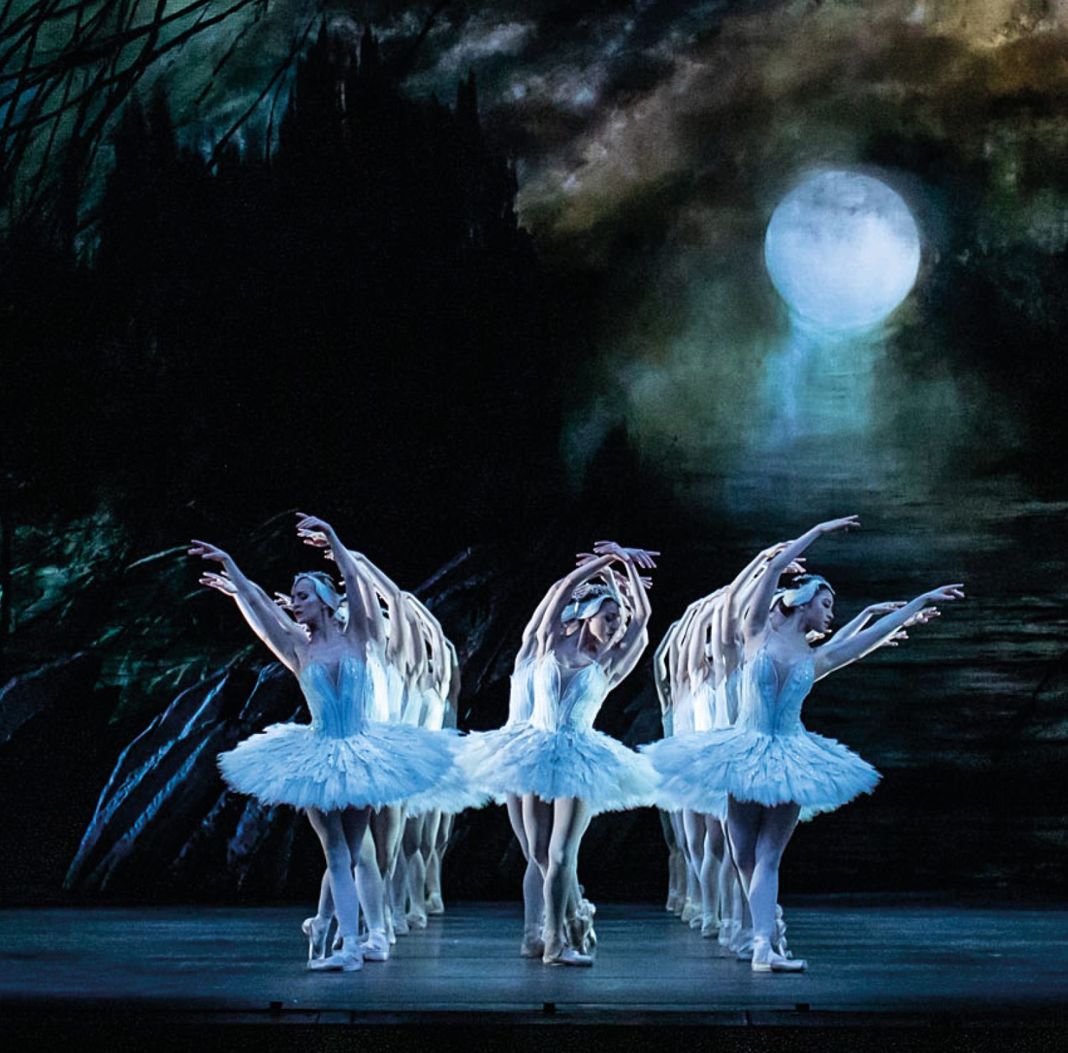Swan lake