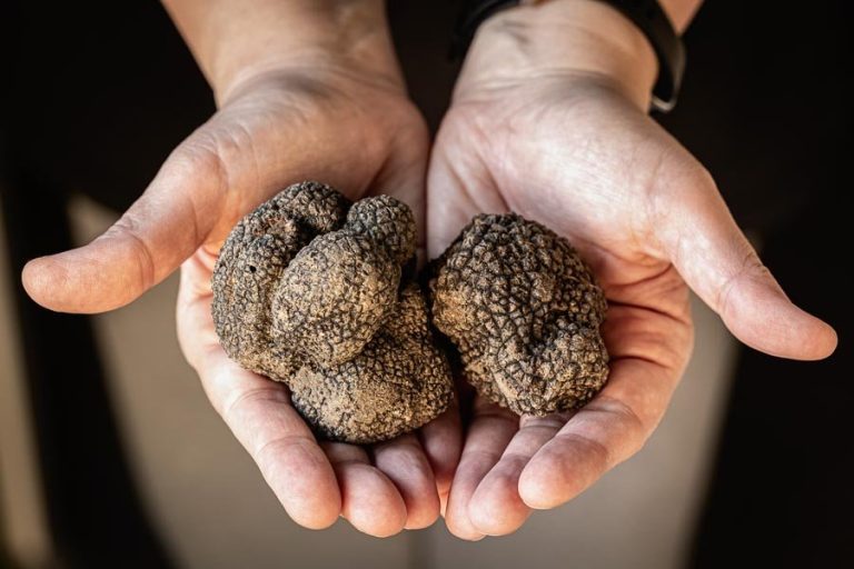 Truffles