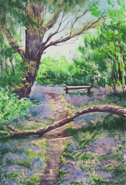 Bluebells in the Woodland, Fallen Tree