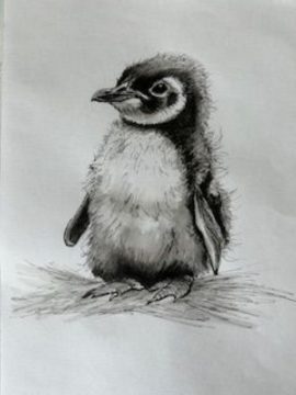 IMG_3876 (1)_page-0001