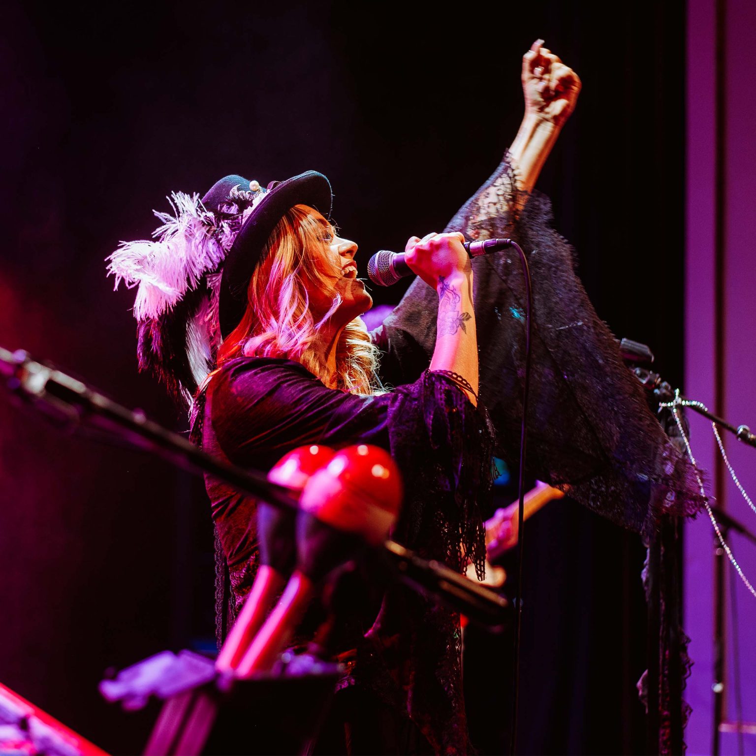 Dreams of FM Fleetwood Mac Tribute Show stage shot 4