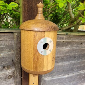 Holmsdale Wood 20220822_181707