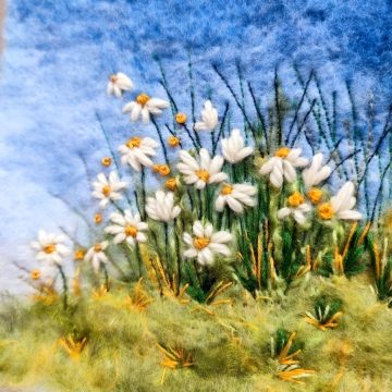 IMG_20240527_112455~2