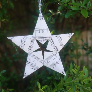 IMG_20240816_144429640_PORTRAIT~2